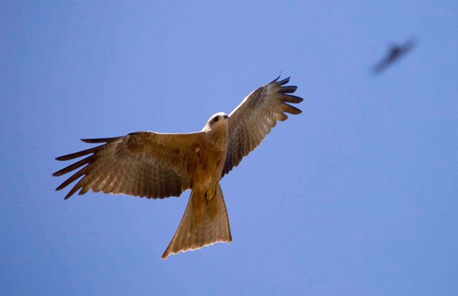 Douglas Springs - 4087