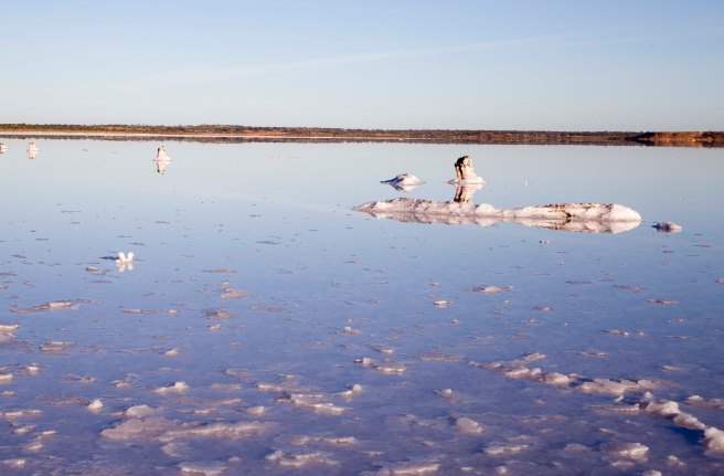 Lake Hart Sunrise 3361