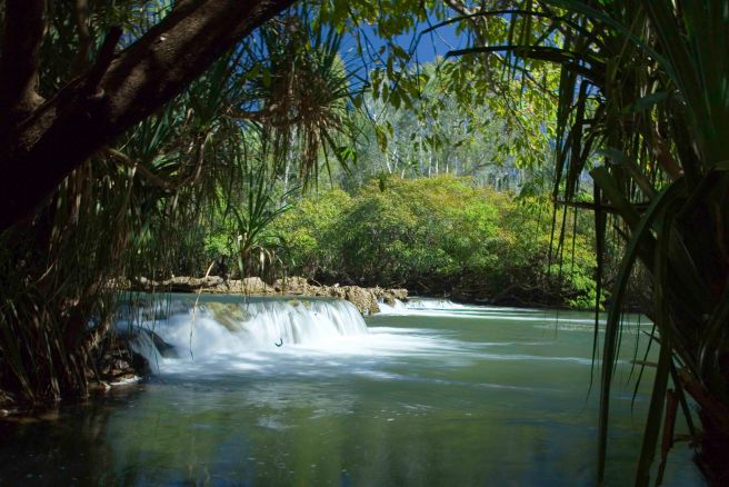 Mataranka Falls Walk - 3597