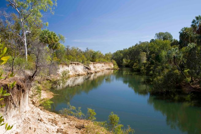 Mataranka Falls Walk - 3614