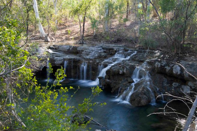 Mataranka Falls Walk - 3622