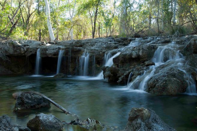 Mataranka Falls Walk - 3631