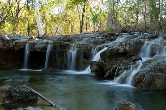 Mataranka Falls Walk - 3643