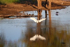 Marlgu Lagoon Wyndham