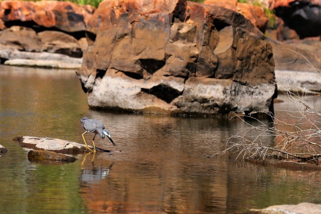 12. Bell Gorge - 6263