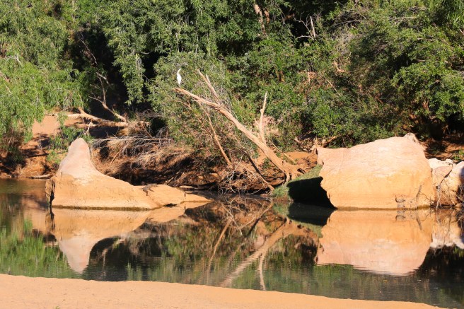 13. Windjana Gorge - 6323