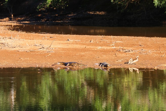 13. Windjana Gorge - 6333