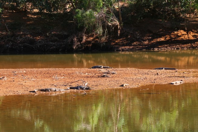 13. Windjana Gorge - 6336
