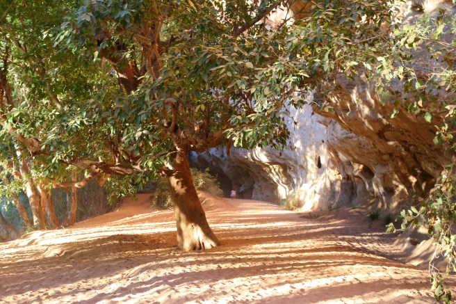 15. Windjana Gorge - 6449