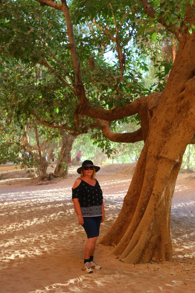 15. Windjana Gorge - 6451