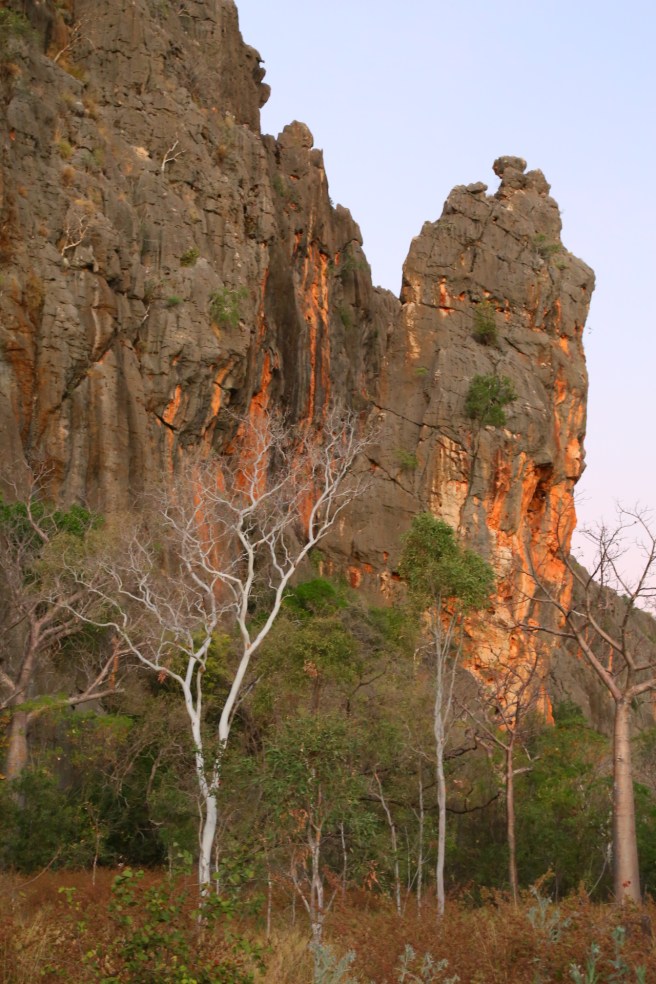 15. Windjana Gorge - 6491