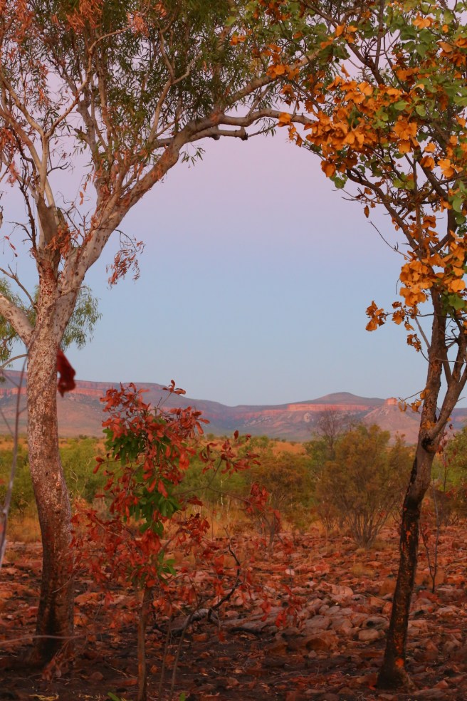 3. Home Valley Station - 5328