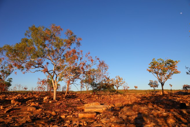 3. Home Valley Station - 5357