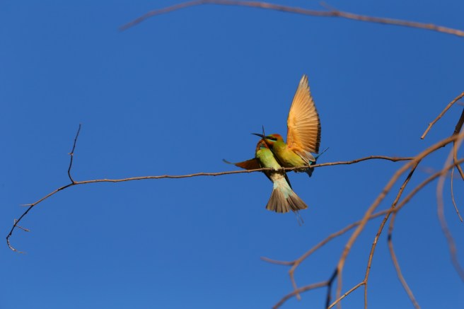 3. Home Valley Station - 5392