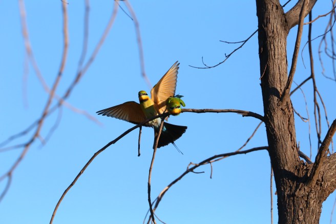 3. Home Valley Station - 5414