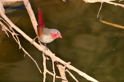 3. Home Valley Station - 5425