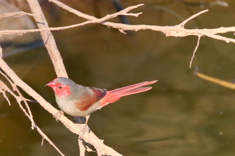 3. Home Valley Station - 5426