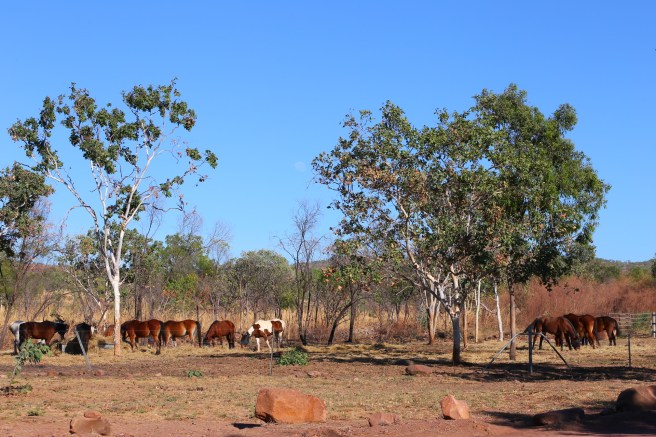 3. Home Valley Station - 5442