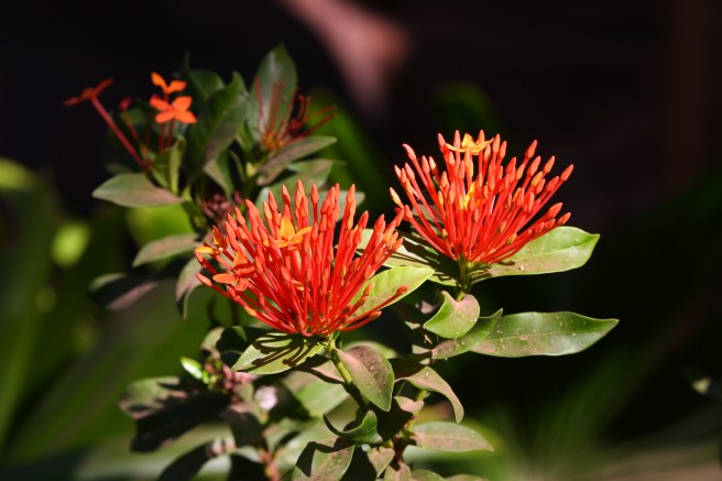 3. Home Valley Station - 5447