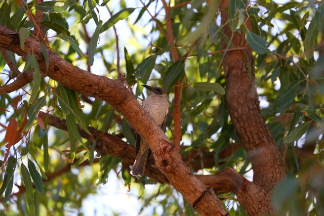 3. Home Valley Station - 5482