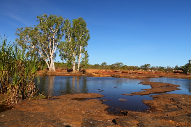 6. King Edward River - 5700