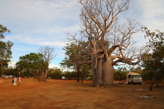 9. Manning Falls - 6010