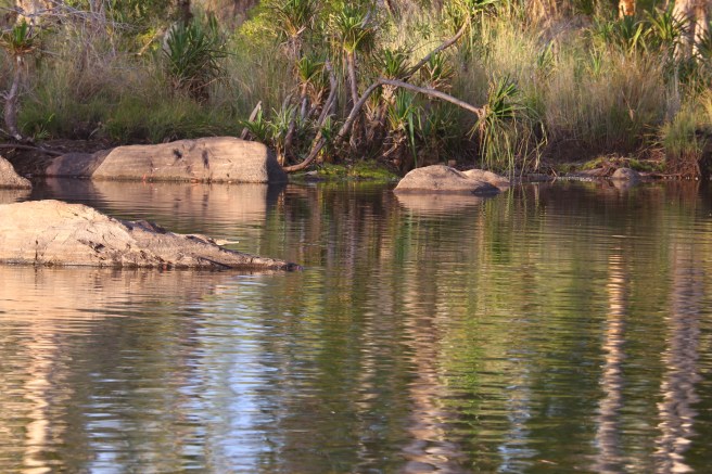 9. Manning Falls - 6011