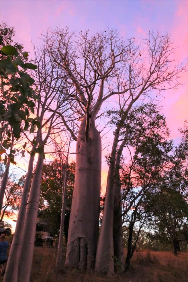 9. Manning Falls - 6028