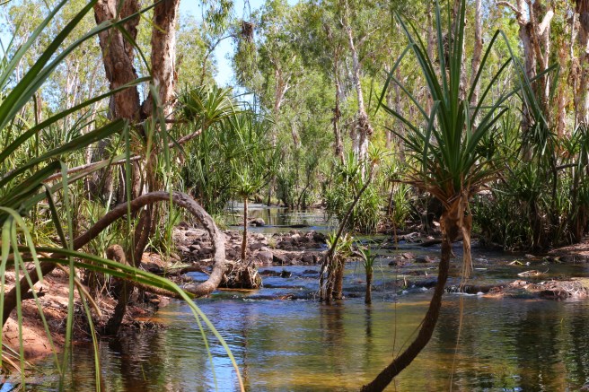 9. Manning Falls - 6121