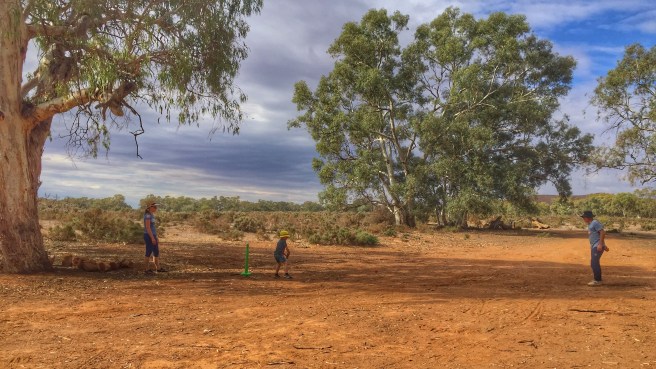 Almerta Station Cricket Game