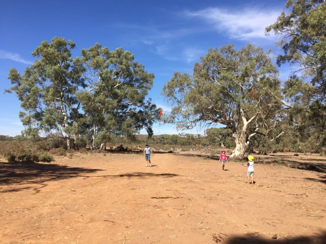Almerta Station Kite Flying