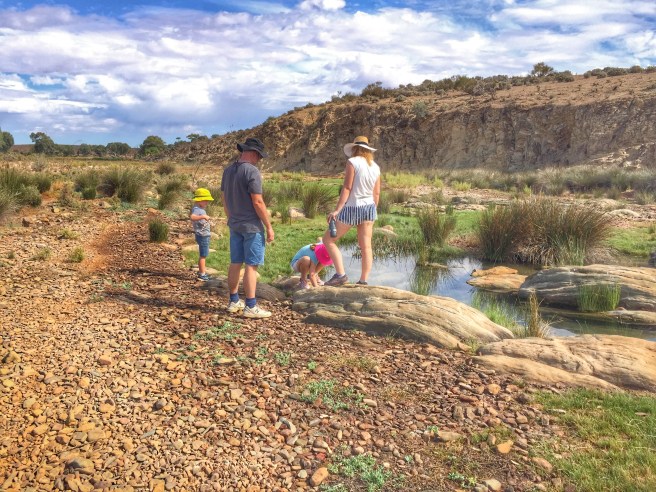 Almerta Station Natural Springs