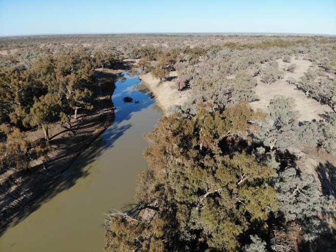 Gundabooka National Park - Darling river, Yanda Campground