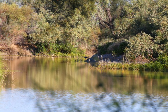 Cuttaburra Crossing waterhole