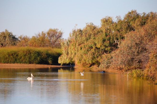 Cuttaburra Crossing waterhole