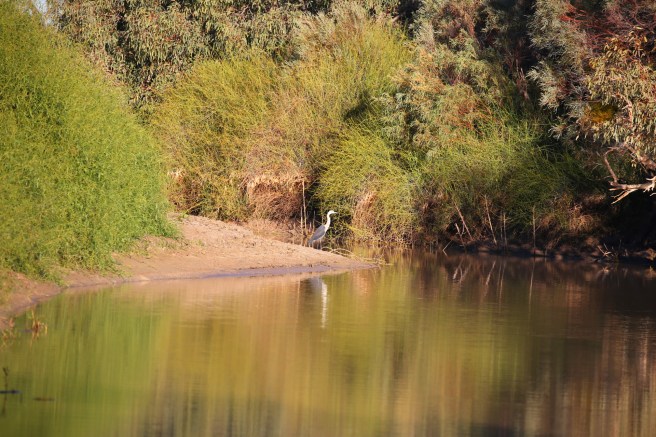 Cuttaburra Crossing waterhole