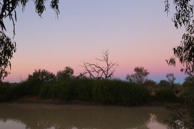 Cuttaburra Crossing in the evening