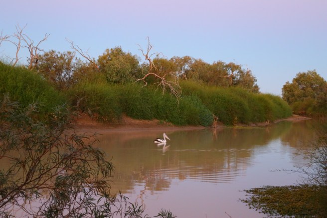 Cuttaburra Crossing waterhole