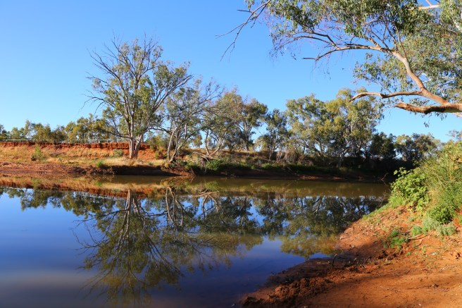 River shot at Burke River adjacent Boulia campsite