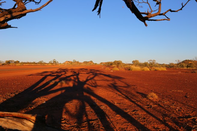 Poddy Creek Rest Stop at sunrise