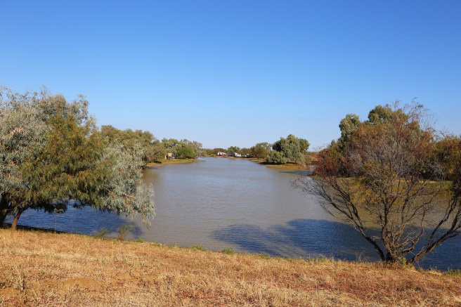 Long  Waterhole neat Wynton