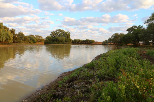 Long Waterhole near Wynton