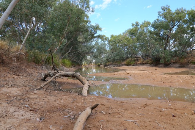 Surprise Creek adjacent to Bough Shed Water Hole Campground