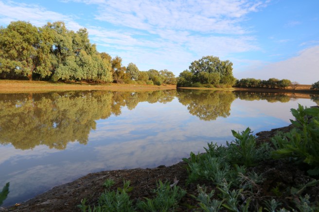 Long Waterhole near Wynton