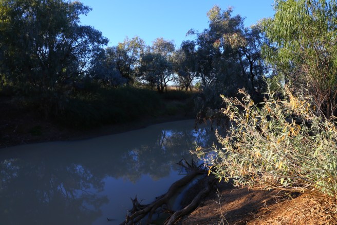 Thomson River near Stonehenge