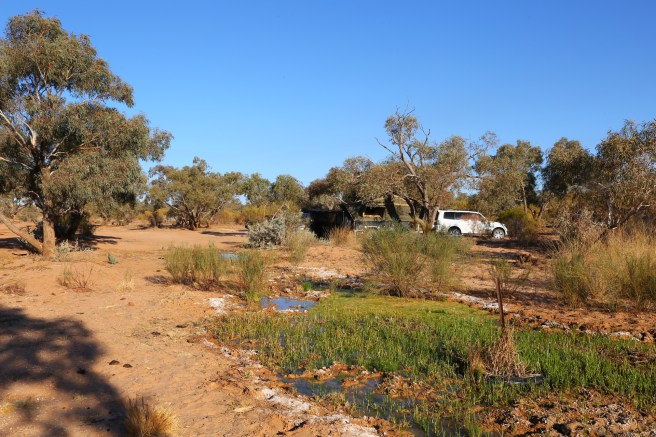 Clayton Wetlands Campground