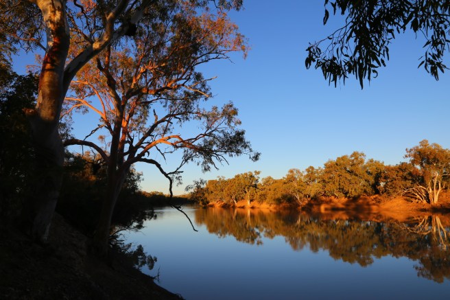 Barcoo River adjacent to Welford National Park Camping Area