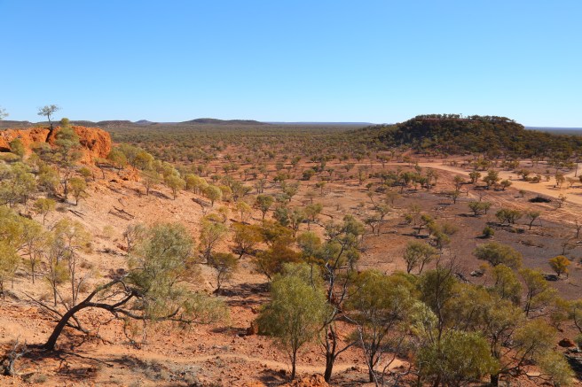 View from Baldy Top Lookout