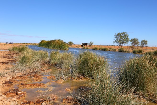 Two Wells Dam - Roadside stop on Birdsville Track