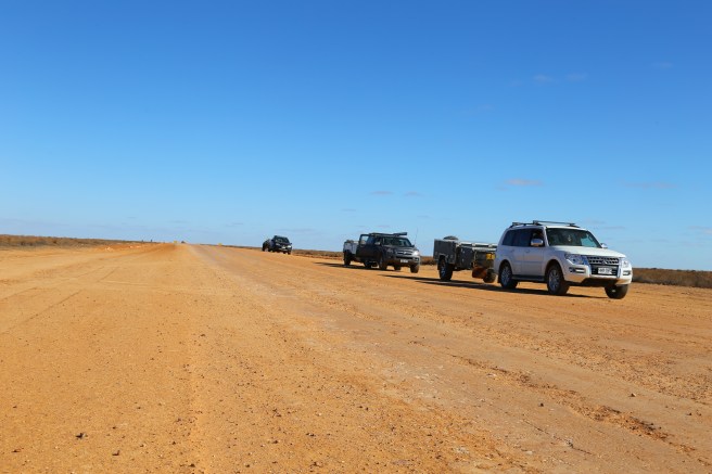 Birdsville Track